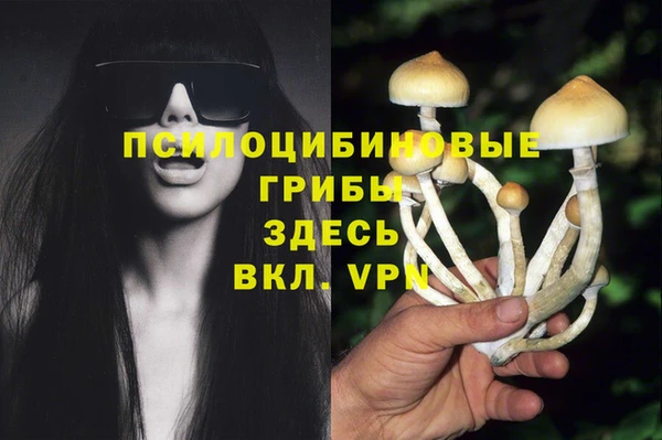герыч Аркадак