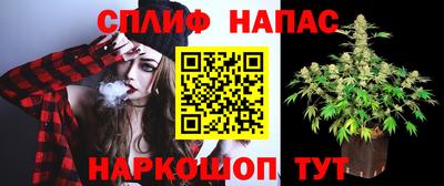 дурь Новокубанск