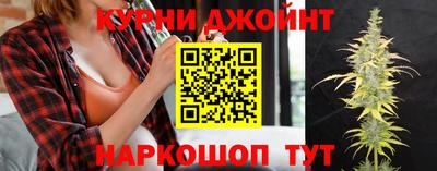 apvp Новозыбков