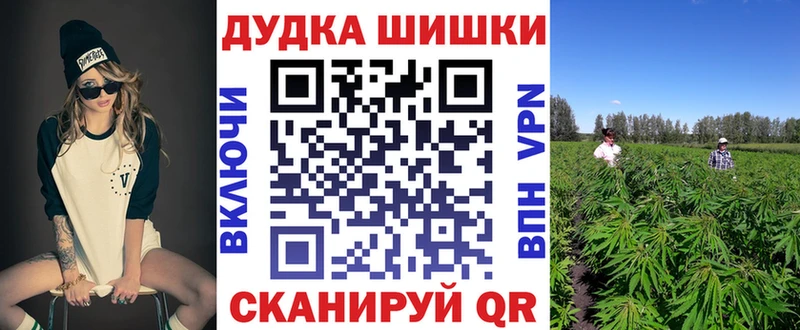 Бошки Шишки семена  купить  сайты  Фролово 